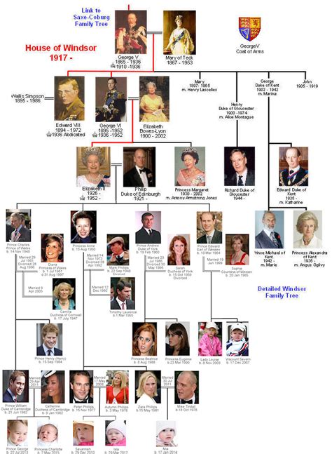 differenze tra i tudor e i windsor|the windsors and the tudors.